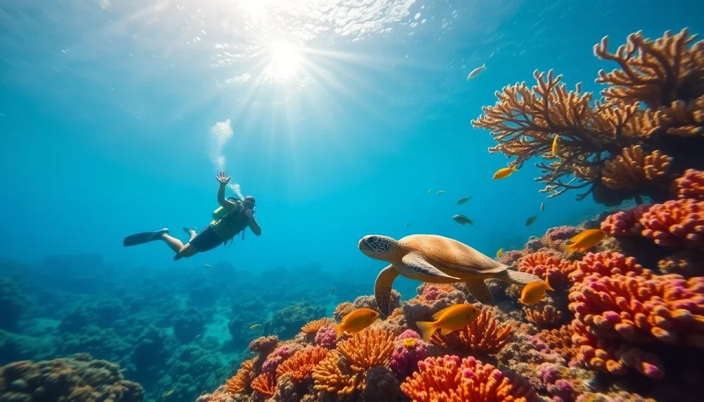 Explore marine life at PADI Certified dive shops in Belize, featuring vibrant coral reefs and scuba divers.